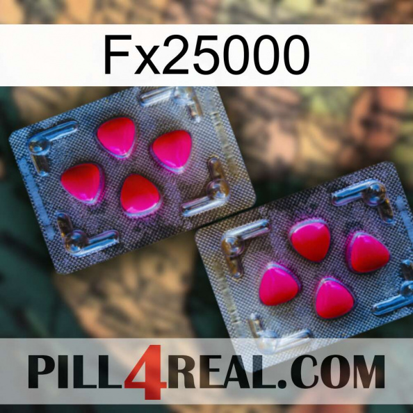 Fx25000 15